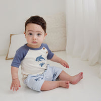 Baby Blue Whale Orca Harem Shorts Summer Boys