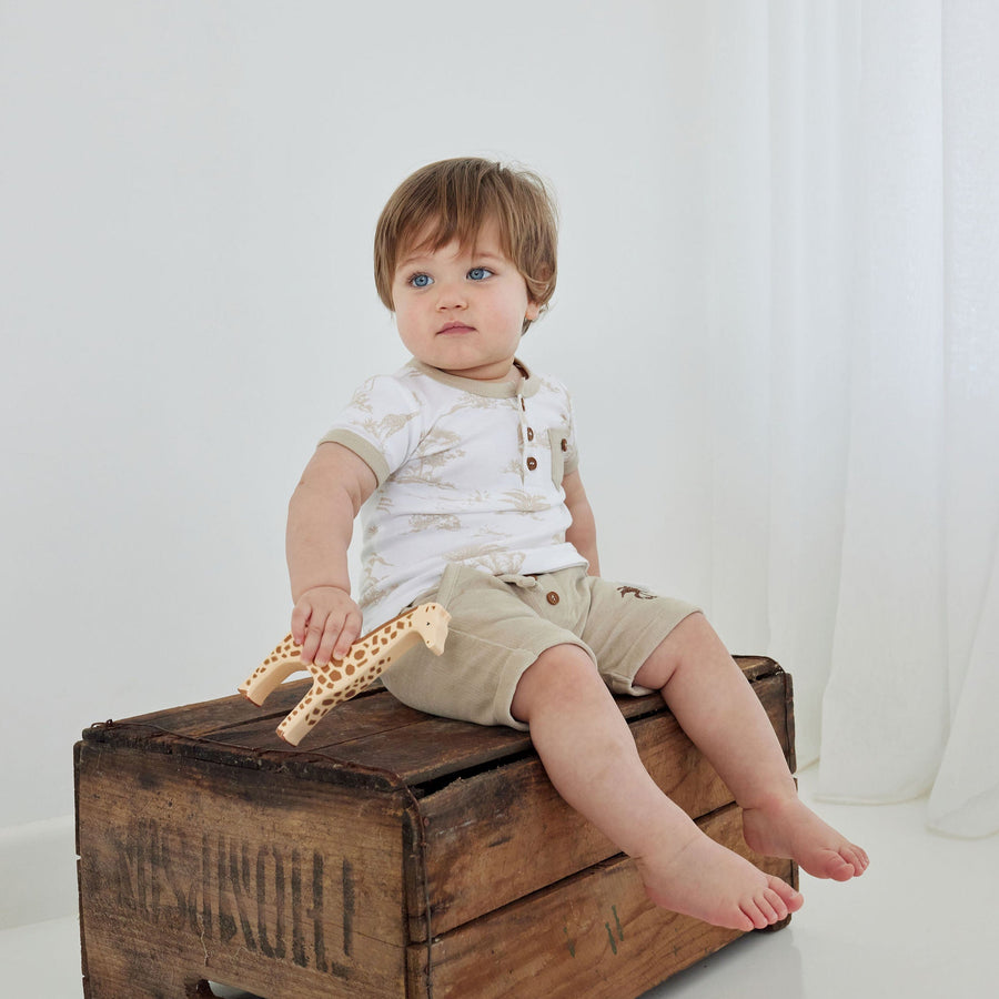 Baby Boys Unisex Cotton Sand Corduroy Palm Shorts