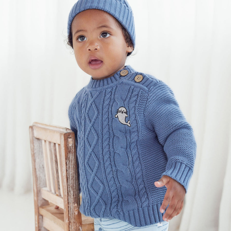 Boys Winter Navy Bluestone Cable Knit Jumper Seal